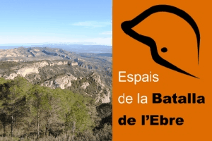 Consorci Memorial dels Espais de la Batalla de l´Ebre (COMEBE) Consorci Memorial dels Espais de la Batalla de l´Ebre (COMEBE)