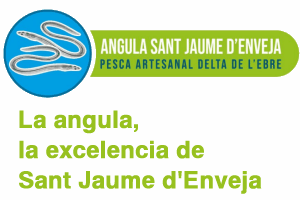 La angula, la excelencia de Sant Jaume dEnveja