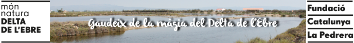 Món Natura Delta de l’Ebre. Gaudeix de la màgia del Delta de l’Ebre Món Natura Delta de l’Ebre. Gaudeix de la màgia del Delta de l’Ebre