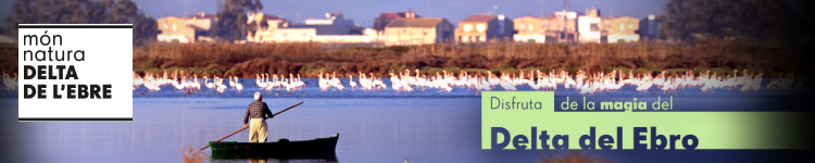 Mn Natura Delta de lEbre. Disfruta de la magia del Delta del Ebro