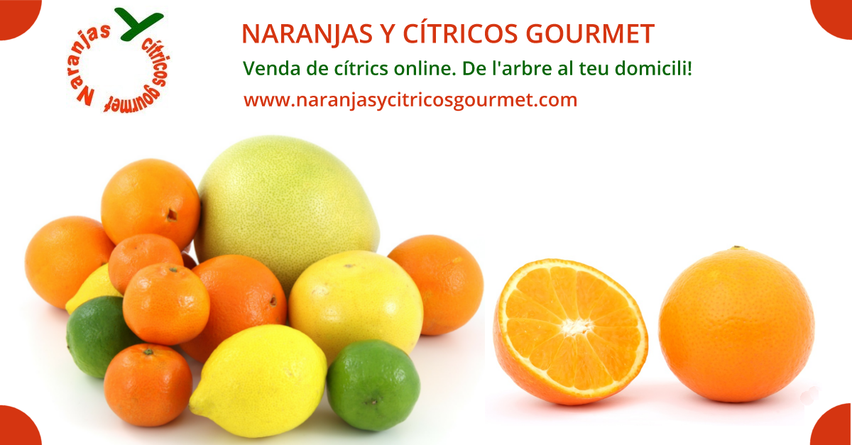 NARANJAS Y CTRICOS GOURMET