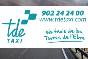 TDETAXI, Els taxis de les Terres de l’Ebre TDETAXI, Els taxis de les Terres de l’Ebre