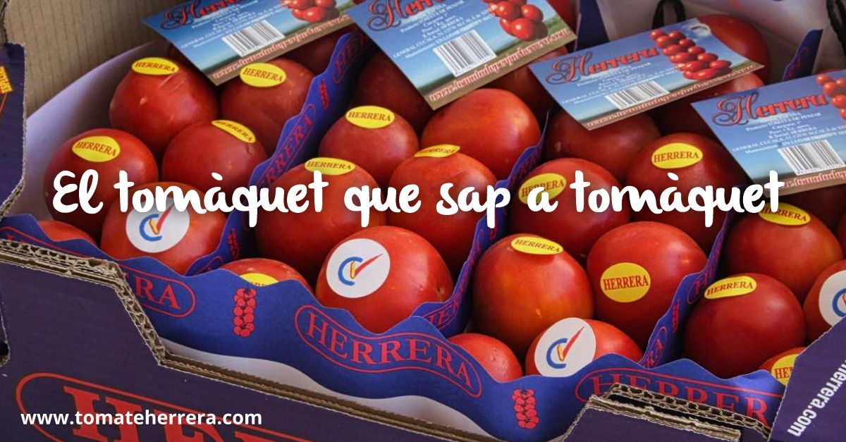 39 estands participaran en la Fira de Productes Gastron�mics i de Proximitat de Benicarl� | EbreActiu.cat, revista digital d&rsquo;oci actiu | Terres de l&rsquo;Ebre ...