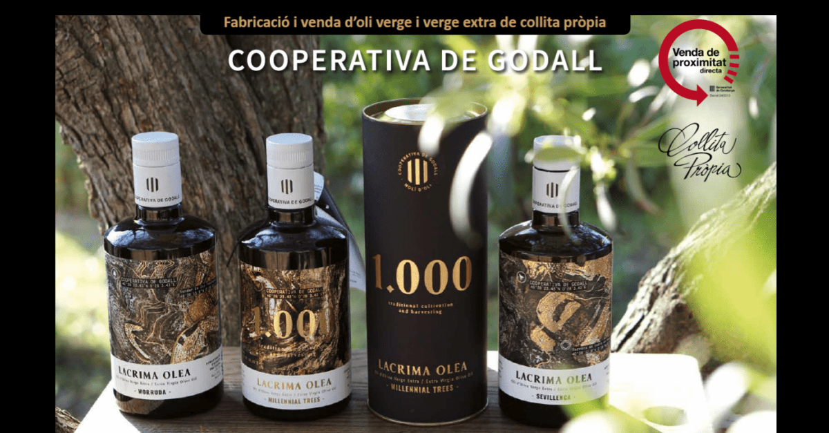 Agrícola de Godall - Olis Premium «Lacrima Olea» | EbreActiu.cat, revista digital d’oci actiu | Terres de l’Ebre ... Agrícola de Godall - Olis Premium «Lacrima Olea» | EbreActiu.cat, revista digital d’oci actiu | Terres de l’Ebre ...