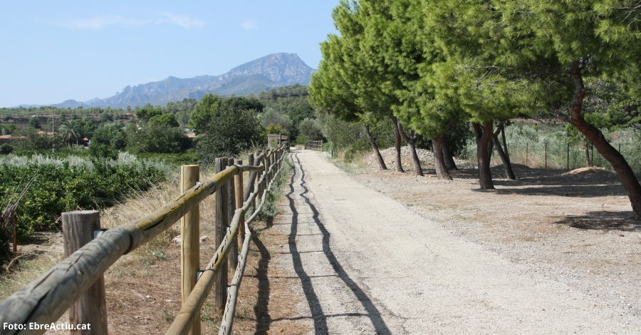 Baix Ebre Avant assessorar empreses turstiques per consolidar el cicloturisme a les Terres de lEbre