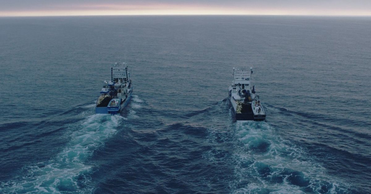 La flota comandada per Balfeg torna a port amb 2.485 tones de tonyina