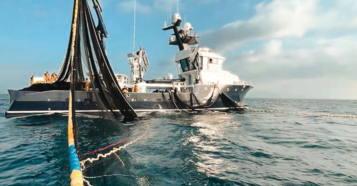 Balfeg inicia la campanya anual de pesca de tonyina roja 