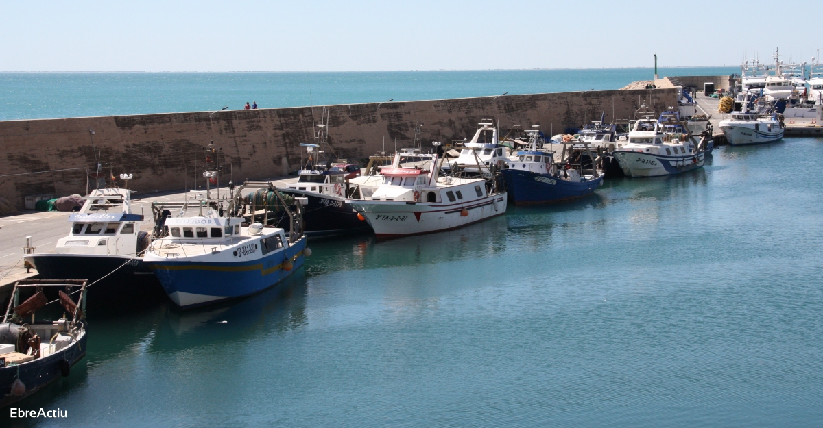 Les barques darrossegament de lAmetlla de Mar tornen a la mar desprs de dos mesos daturada biolgica