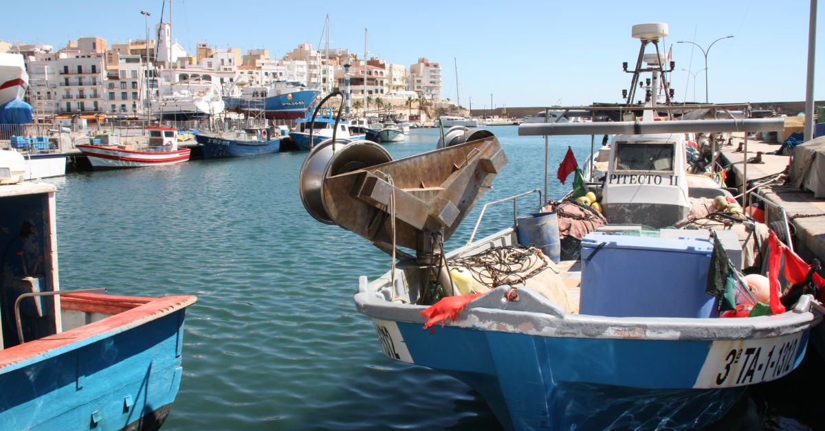 Les barques dencerclament tornen a la mar desprs de dos mesos de veda