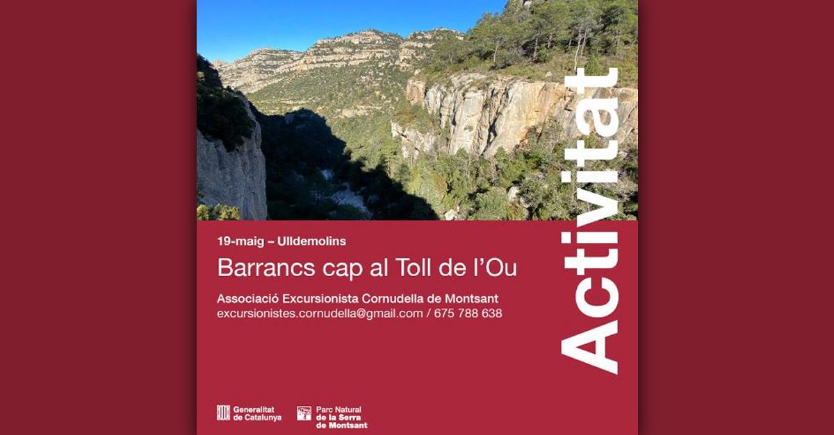 Barrancs cap al toll de l�Ou