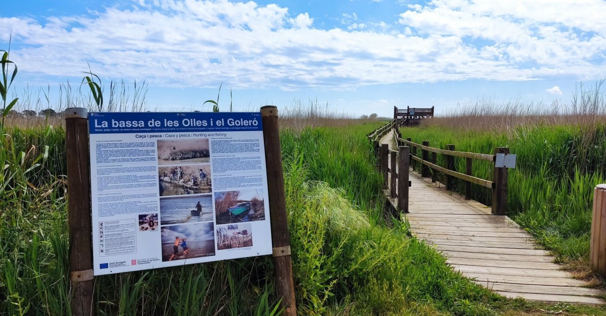 La restauraci de la Bassa de les Olles fa un pas decisiu | EbreActiu.cat, revista digital d’oci actiu | Terres de l’Ebre ...