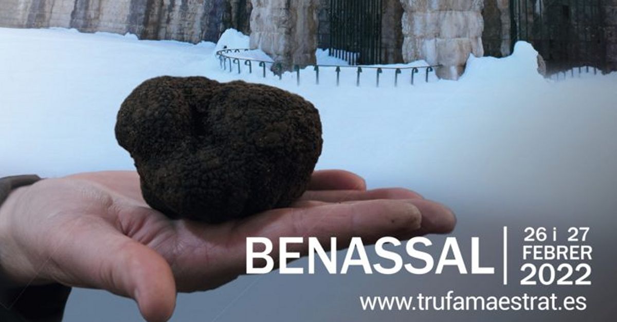 Benassal acollir la 18ena Mostra de la Trufa Negra de lAlt Maestrat