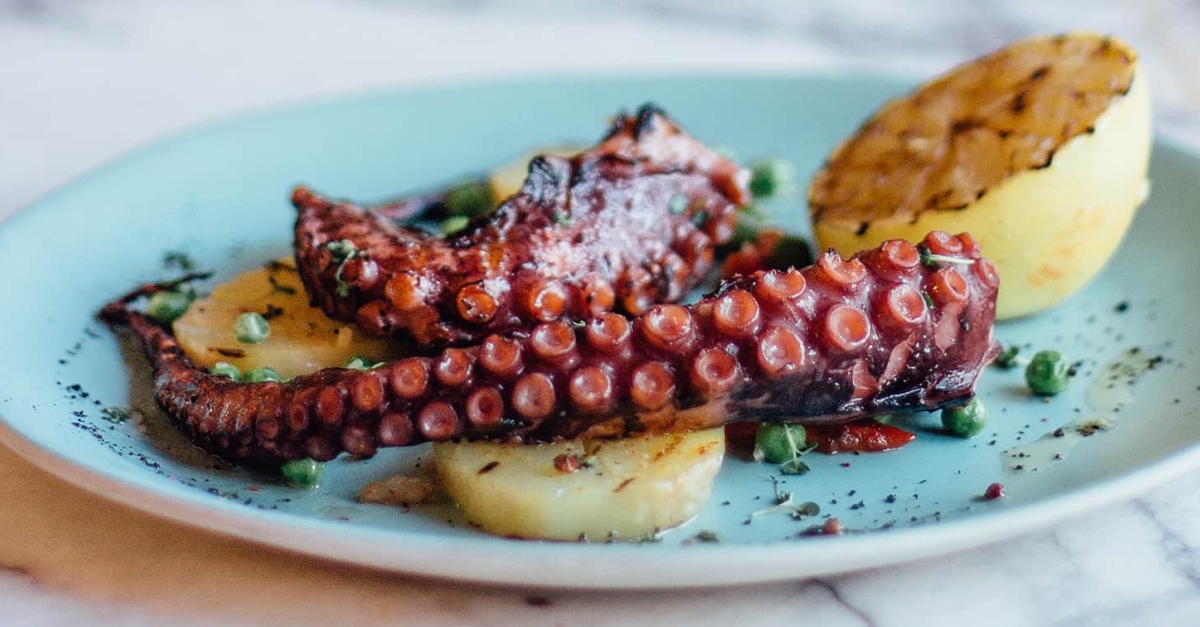 Benicarl aposta per la gastronomia com a eix fonamental de lestratgia turstica