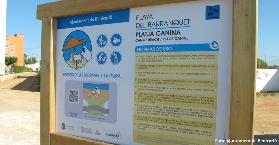 Benicarl habilita dos de les seues platges per a gossos