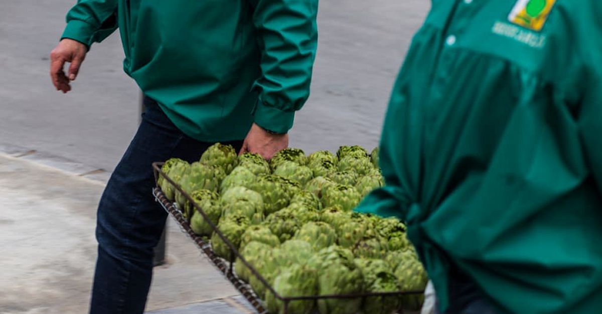 Benicarl prepara ms de 1.500 quilos de carxofes per a la Torrada Popular | EbreActiu.cat, revista digital d’oci actiu | Terres de l’Ebre ...