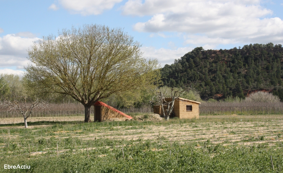 Benissanet | EbreActiu.cat, revista digital de ocio activo | Terres de l’Ebre... Benissanet | EbreActiu.cat, revista digital de ocio activo | Terres de l’Ebre...