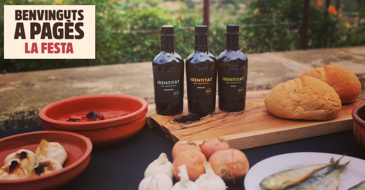 Benvinguts a pag�s 2024: Identitat Extra Virgin Olive Oil