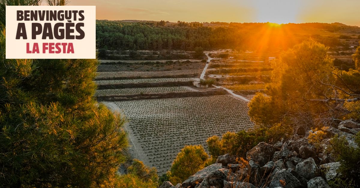 Benvinguts a pag�s 2024: Celler Xavier Clua