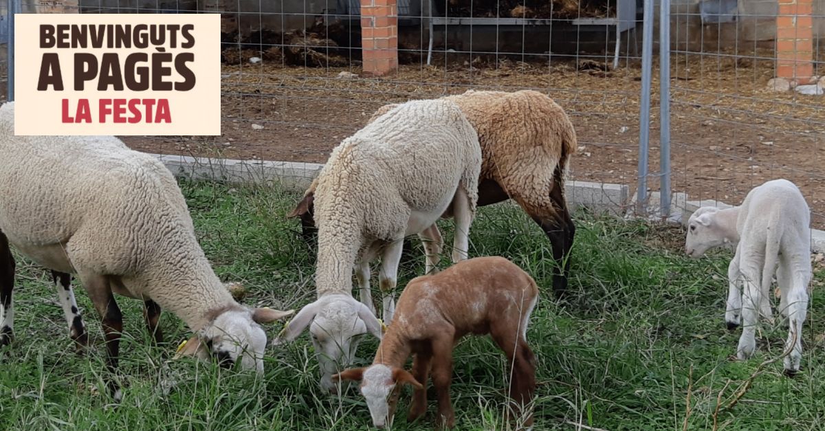 Benvinguts a pag�s 2024: Sidialda Natura