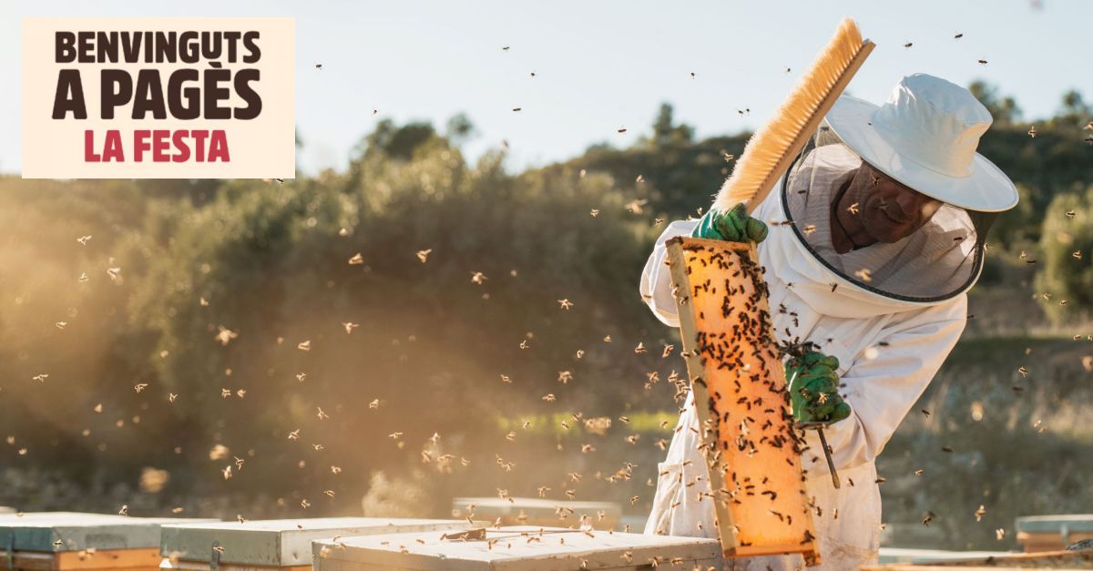 Benvinguts a pag�s 2024: Mel Bonet