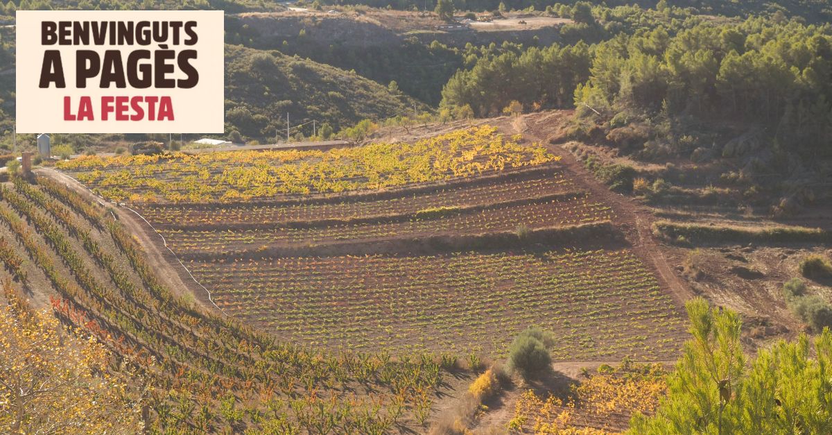 Benvinguts a pag�s 2024: Hericamps