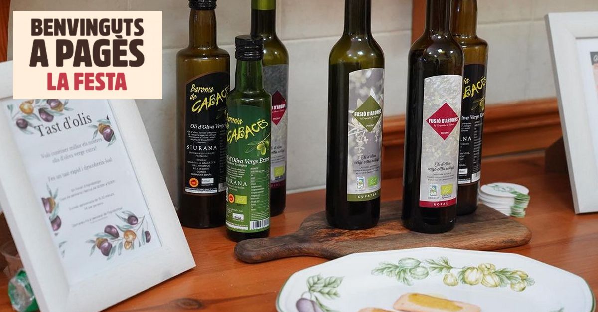 Benvinguts a pagès 2024: Cooperativa de Cabacés Benvinguts a pagès 2024: Cooperativa de Cabacés