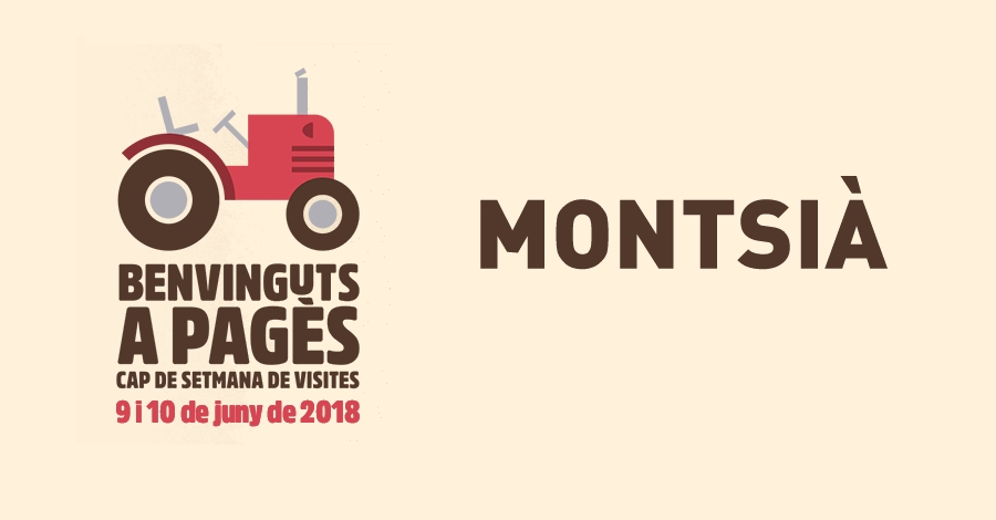 Benvinguts a Pag�s - Montsi�