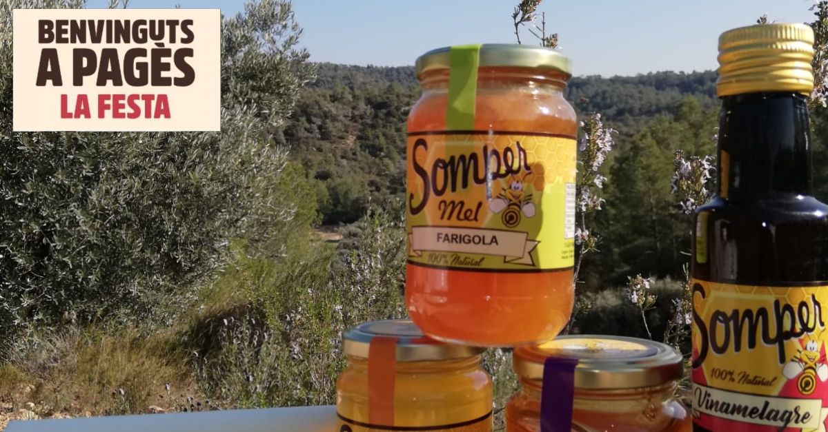 Benvinguts a pag�s 2024: Miel Somper