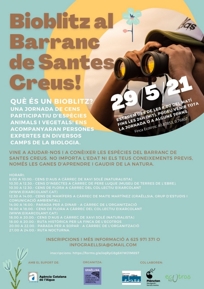 Bioblitz al barranc de Santes Creus Bioblitz al barranc de Santes Creus