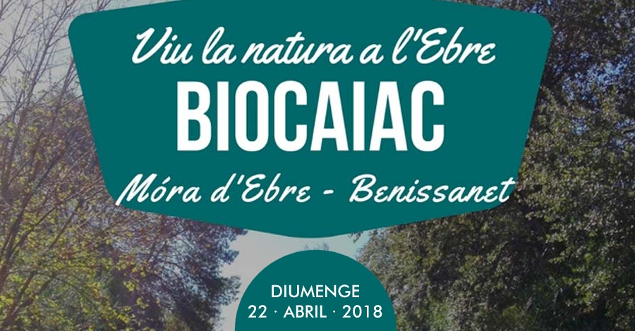 Biocaiac. Bajada interpretativa y de observaci�n de la naturaleza en kayak