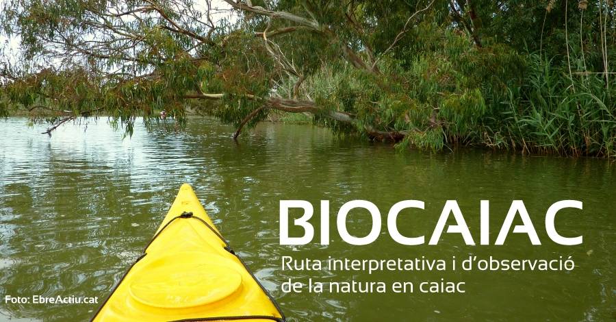 Biocaiac. Baixada interpretativa i d�observaci� de la natura en caiac