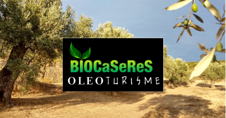 BIOCASERES, productores de aceite virgen extra ecológico | EbreActiu.cat, revista digital de ocio activo | Terres de l’Ebre... BIOCASERES, productores de aceite virgen extra ecológico | EbreActiu.cat, revista digital de ocio activo | Terres de l’Ebre...