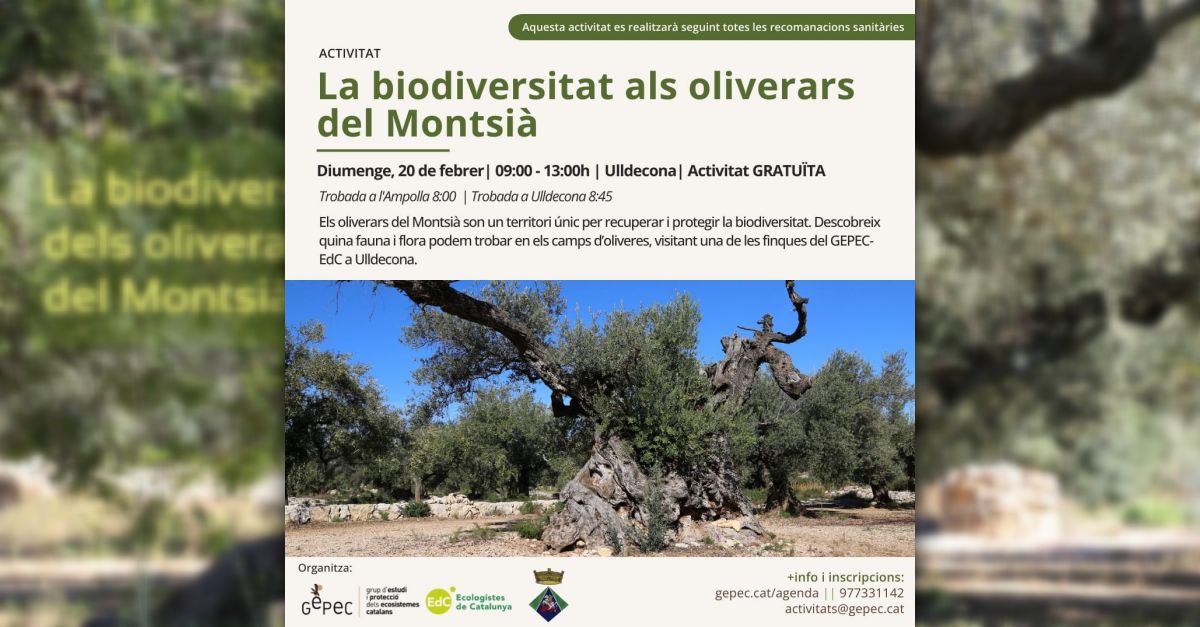 La biodiversidad en los olivares del Montsi�