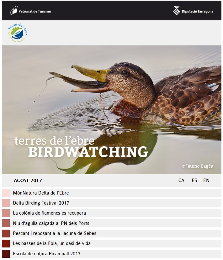 Butllet� Birdwatching Terres de l&rsquo;Ebre - agost 2017 | EbreActiu.cat, revista digital d&rsquo;oci actiu | Terres de l&rsquo;Ebre ...