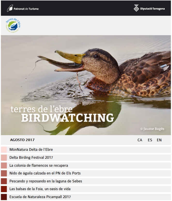Bolet�n Birdwatching Terres de l&rsquo;Ebre - agosto 2017 | EbreActiu.cat, revista digital de ocio activo | Terres de l&rsquo;Ebre...