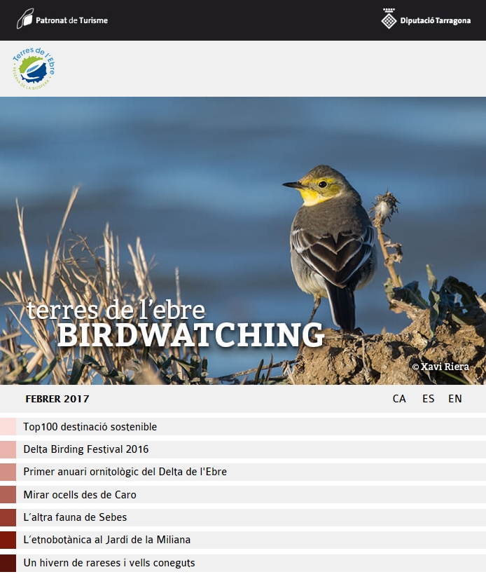 Publicada l&rsquo;edici� febrer 2017 del Birdwatching Terres de l&rsquo;Ebre | EbreActiu.cat, revista digital d&rsquo;oci actiu | Terres de l&rsquo;Ebre ...