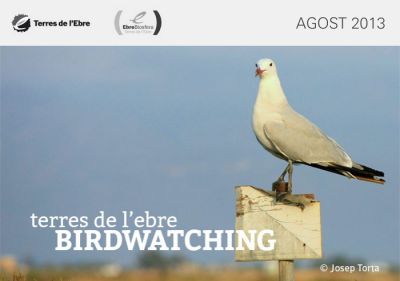 Birdwatching Terres de l&rsquo;Ebre, agost 2014 | EbreActiu.cat, revista digital d&rsquo;oci actiu | Terres de l&rsquo;Ebre ...