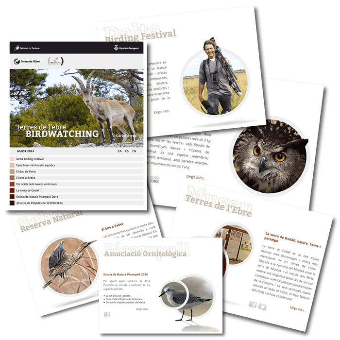 Birdwatching Terres de l&rsquo;Ebre, agost 2014 | EbreActiu.cat, revista digital d&rsquo;oci actiu | Terres de l&rsquo;Ebre ...