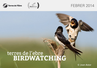 Birdwatching Terres de l&rsquo;Ebre, agost 2014 | EbreActiu.cat, revista digital d&rsquo;oci actiu | Terres de l&rsquo;Ebre ...