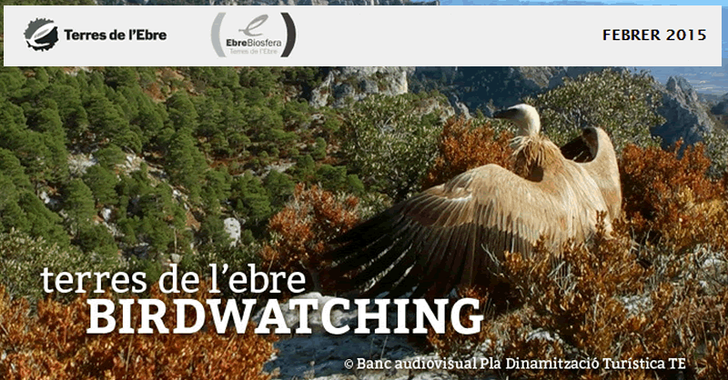 Publicada ledici febrer de 2015 del "Birdwatching Terres de lEbre"
