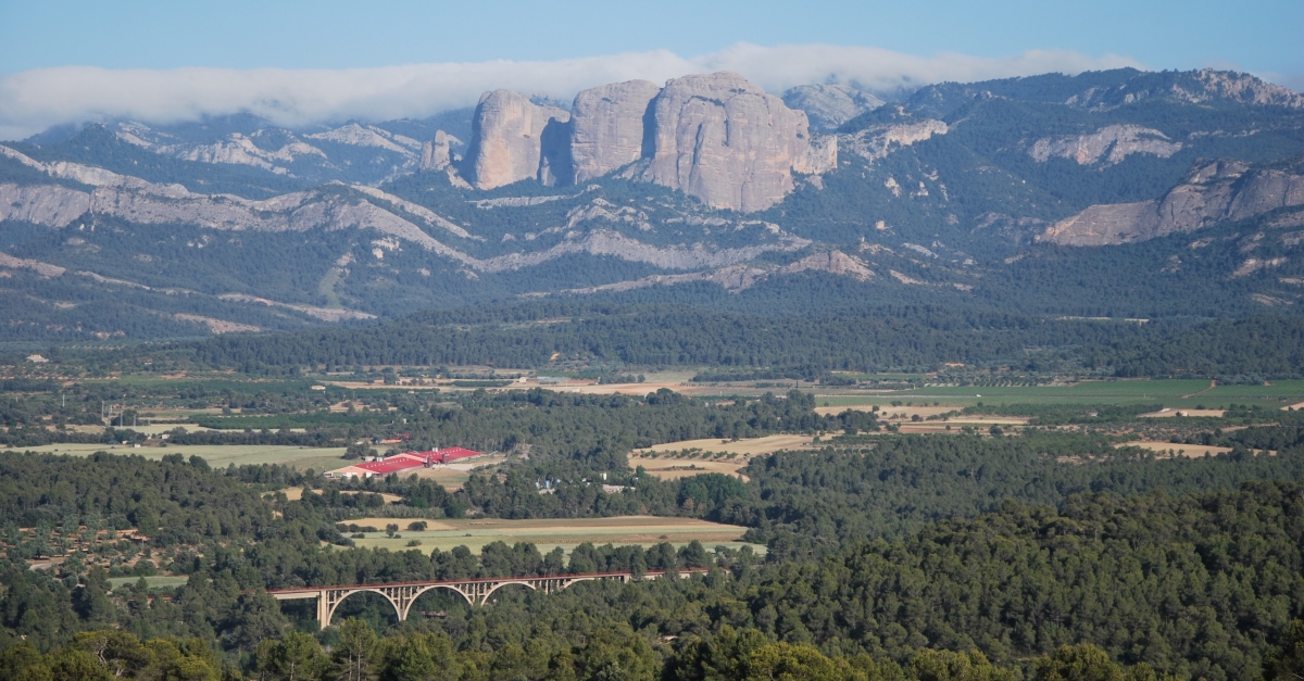 Bodegas Crial | EbreActiu.cat, revista digital de ocio activo | Terres de l&rsquo;Ebre...