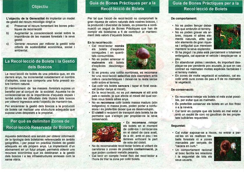 Bones pr�ctiques per a collir bolets | EbreActiu.cat, revista digital d&rsquo;oci actiu | Terres de l&rsquo;Ebre ...