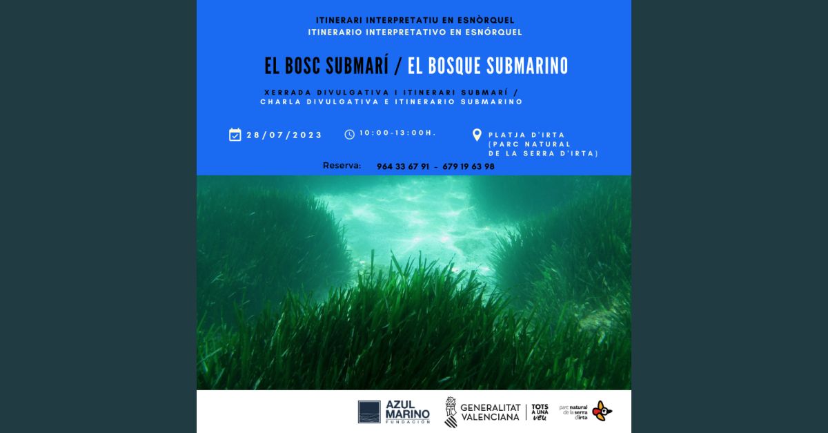 Xerrada divulgativa i itinerari submar�: El bosc submar�