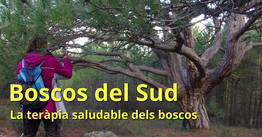 Boscos del Sud (especial Setmana Santa) Boscos del Sud (especial Setmana Santa)