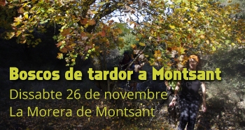 Bosques de oto�o en Montsant