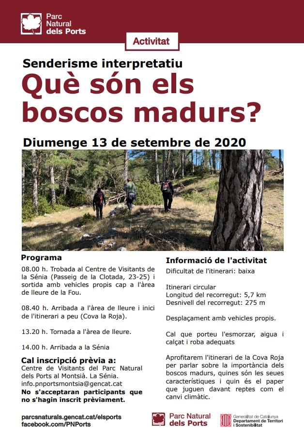 Senderisme interpretatiu: Què són els boscos madurs? Senderisme interpretatiu: Què són els boscos madurs?