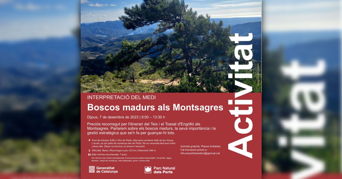 Senderisme interpretatiu: Boscos madurs als Montsagres Senderisme interpretatiu: Boscos madurs als Montsagres