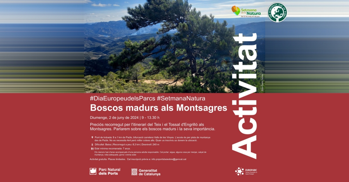 Boscos madurs als Montsagres Boscos madurs als Montsagres