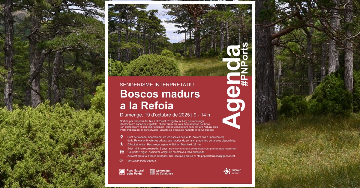 Senderismo interpretativo: Bosques maduros en la Refoia