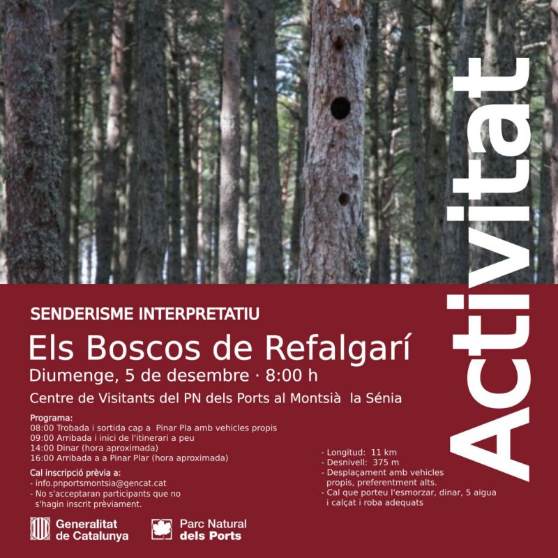 Senderisme interpretatiu: Els boscos de Refalgarí Senderisme interpretatiu: Els boscos de Refalgarí